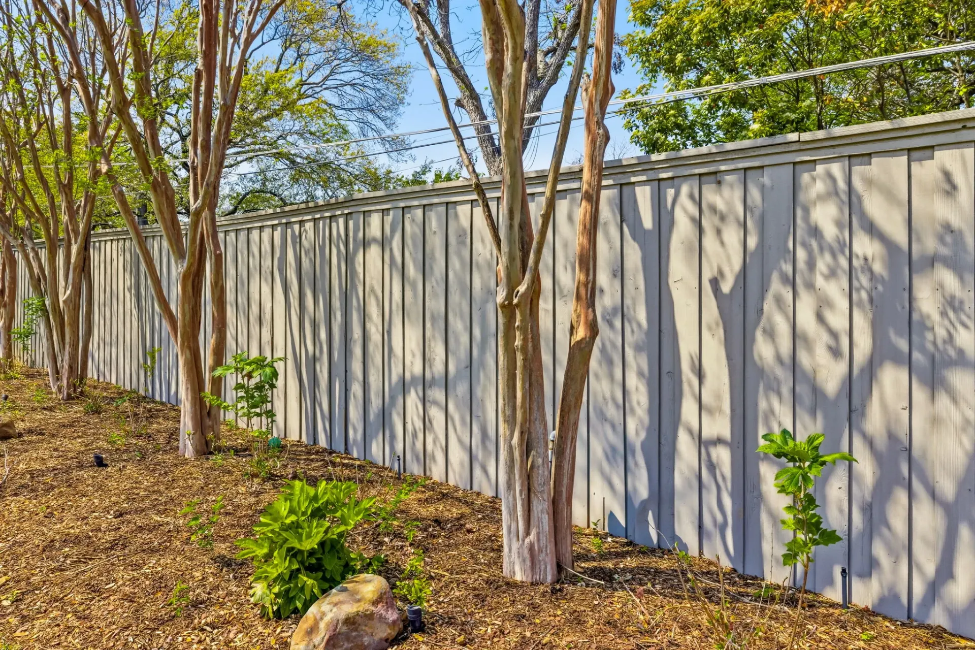 Board-on-board wood privacy fence framed by mature trees